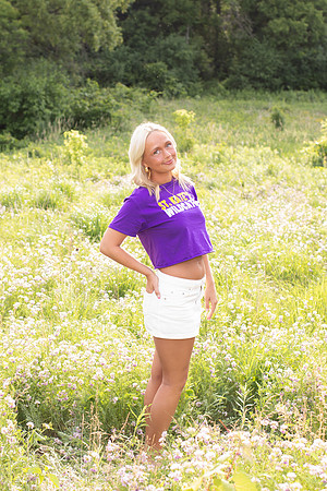 CMP_0376