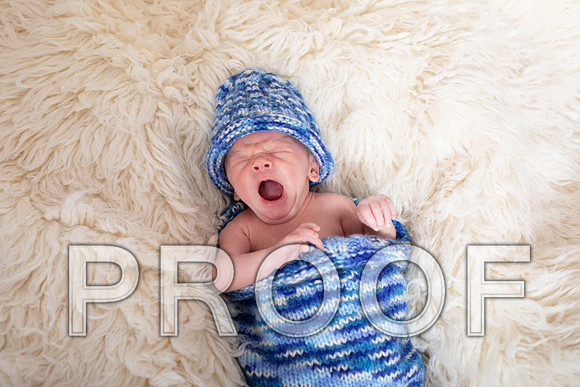 CMP_0003